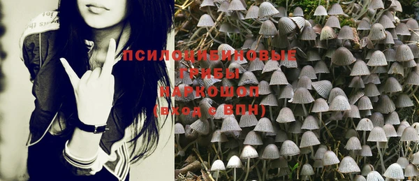 2c-b Алексеевка
