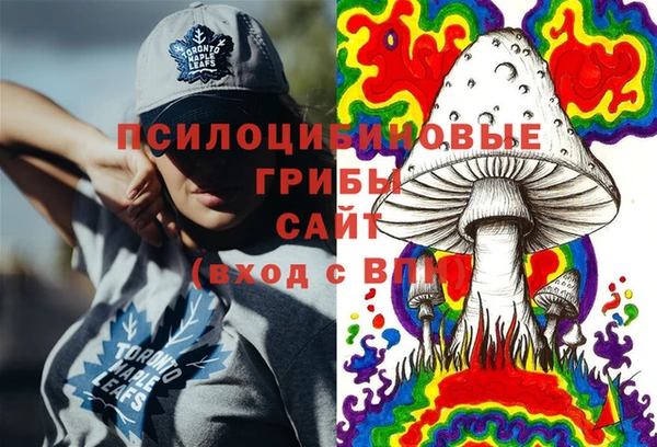PSILOCYBIN Алзамай
