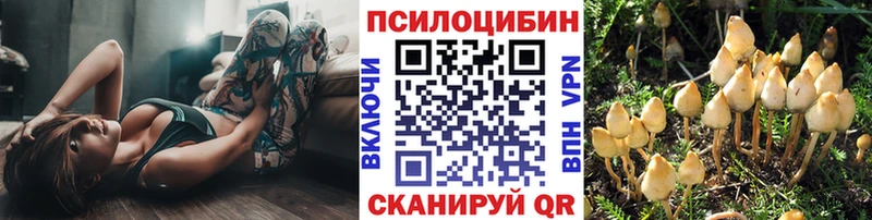 Галлюциногенные грибы прущие грибы цена наркотик Алексин